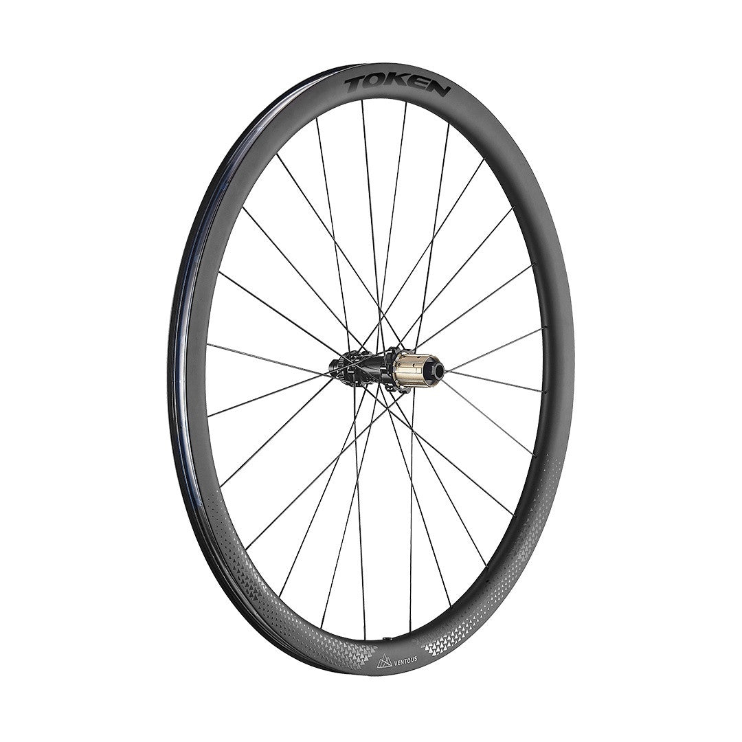 Ventous Disc Brake